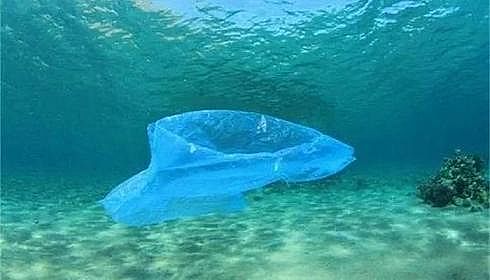 ��Ҏ����Қ��V�����a�S�Ҏ׷�犇L��17�Nˮ��Ⱦ��@�N�z�yƽ�_�ġ�ζ�١����Լ���