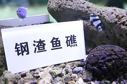 ����5A���ӺY�S�ҡ�����������F�S�����Uˮ���ŷ���������B(y��ng)�~