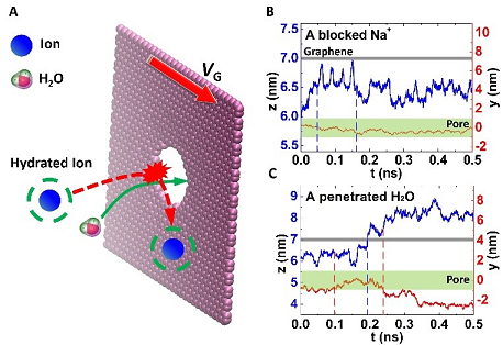�h(hu��n)��Ҭ������̿���a(ch��n)�S�ҽ��K��W(xu��)���������ڈF(tu��n)�(du��)�ڶ�׷��B͸Ĥ�I(l��ng)��ȡ����ͻ�����M(j��n)չ