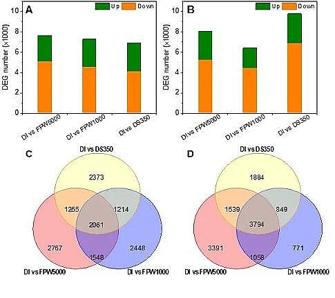 �h(hu��n)����ˮñ���a�S�ҷ��������B͸̎��퓎r���_�ɏUˮ�����ڹ��