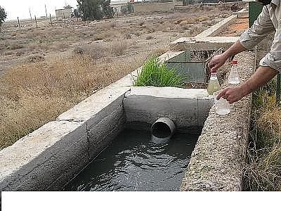 �h����������������MBBR���a�S����ˮ�Sᘌ��Mˮ���˵Ľ��x�ͼ��g�ʂ�