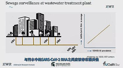 ���ͽM���������a�S�Һ��m��������������W��COVID-19�r�ڵ�ˮ�c�����l����ȫ