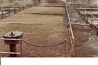 ��ʽ��x�Ӿ۱�ϩ����CPAM���a(ch��n)�S����ˮ�S����������＾��ˇ�{(di��o)��