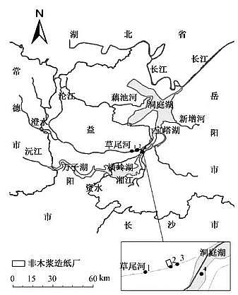 ��ʽҬ������̿���a(ch��n)�S����Ư��ľ�{�켈�S��߅ˮ�w�͵�����PCDD/Fs��ͬϵ�(g��u)�ɼ��L(f��ng)�U(xi��n)�u�r