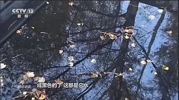 ���ͺ��Қ��V�ϏS�Ҏ���Ͷ���20�|Ԫ��ˮ�|������V�!������ˆ��}?