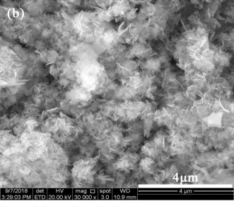 ��Ʒ�|(zh��)3A���ӺY���a(ch��n)�S�����ЙC��x��Ⱦ�ϏUˮ����̎��ȡ�����Mչ