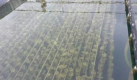 �¿�Aʽ�Ȼ��X�S���P��ˮ�a�Bֳ�I�Uˮ��̎��