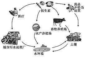 ���������͚��������a(ch��n)�S����Ȼˮ�h(hu��n)���п����ص���Ⱦ�F(xi��n)���Դ��Σ��