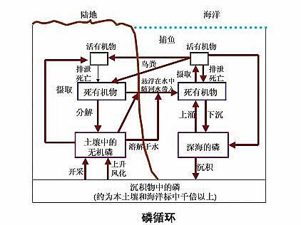 ��Ʒ�|��ʯ�V�����a�S����ˮ�YԴ���Ďׂ�����Ԕ�⣺�׻��ա���ˮ��Դ�á�����ˮ