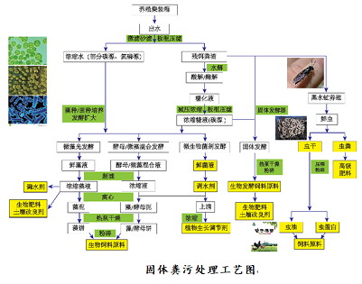 ��(y��u)�����w�W(w��ng)���������a(ch��n)�S�ҡ����b��+���B(t��i)���������s�B(y��ng)ֳ�cβˮ��Ч̎�����g(sh��)