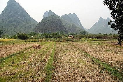 �w�S��V��25mm�S���r(n��ng)��ˮ�h(hu��n)���C������