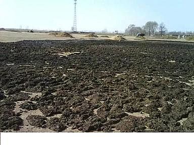 ��Ҏ�����ʯ�V�����a�S��ˮ�a�Bֳ�I�����لt���_��!�{ˮ�졢�����������������׸���������ÿ족!