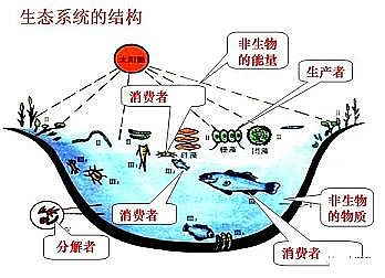 ��Ҏ�����ʯ�V�����a�S��ˮ�a�Bֳ�I�����لt���_��!�{ˮ��������졢����������׸���������ÿ족!