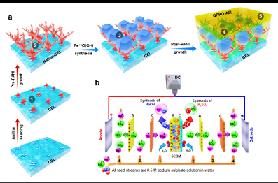 ���F�V�V��2-4mm���a�S���Ї��ƴ����p�OĤҎģ���Ƃ�ȡ�����Mչ