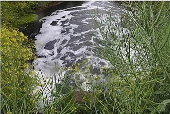 2021��Aʽ�Ȼ��X���a(ch��n)�S�ҡ��ն���̝����!��1���U�V������Ⱦ100�f��ˮ���L������������ˮ��������Ⱦ�����{������ƽ�