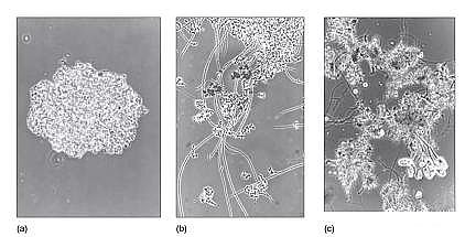 �h���۠����̿�S����ˮ�S����������Û�ļ��g����