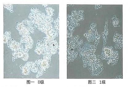 �h���۠����̿�S����ˮ�S����������Û�ļ��g����