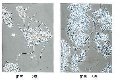 �h���۠����̿�S����ˮ�S����������Û�ļ��g����