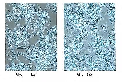 �h���۠����̿�S����ˮ�S����������Û�ļ��g����