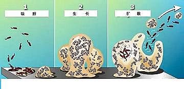 �h���۠����̿�S����ˮ�S����������Û�ļ��g����