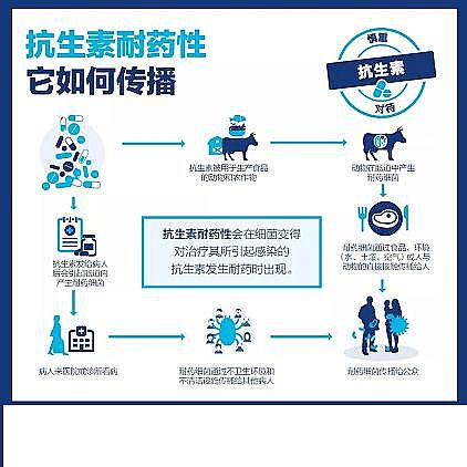 ���w��������Ƭ���a(ch��n)�S���¹����g�^���������ܕ����ٳ��������Ă���