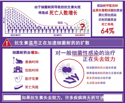 ���w��������Ƭ���a(ch��n)�S���¹����g�^���������ܕ����ٳ��������Ă���