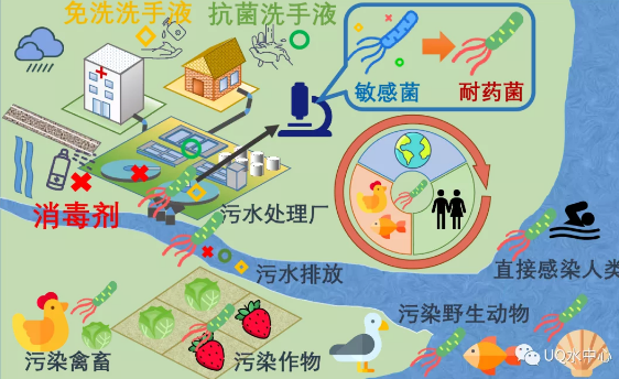 ���w��������Ƭ���a(ch��n)�S���¹����g�^���������ܕ����ٳ��������Ă���