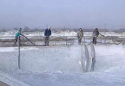 2021��Ҭ������̿���a(ch��n)�S�ҿ�Ͷ�Y1.19�|Ԫ��������˹�д�·�@�^(q��)һ��(g��)�h(hu��n)���(xi��ng)Ŀ����(d��ng)