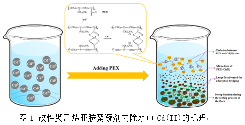 2021����ˮñ�S�������ϳ�����̎���ؽ���?g��u)Uˮ����ȡ���о��M(j��n)չ