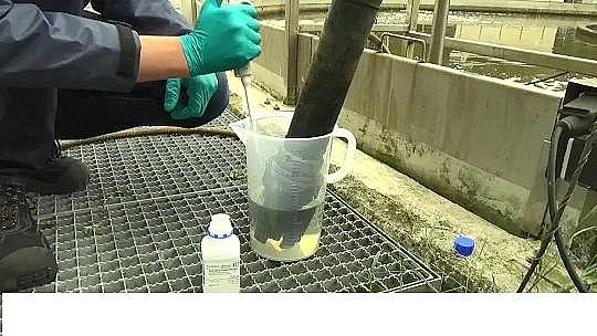 �๦�ܷ�Cб���������a�S�����������ˮ�S���Ԅӿ���ϵ�y����