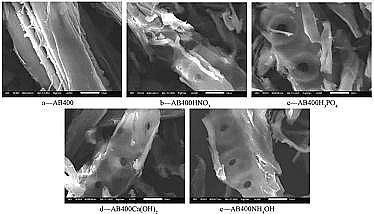 2021�����̿�V�σr����A���Ԍ�����̿����Cr(��)���ܵ�Ӱ�