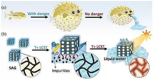 ���x���P��w�S�����^���a�S�����조���ࡱ���F̫��܃�ˮ����̎�����N�Uˮ������кܴ���