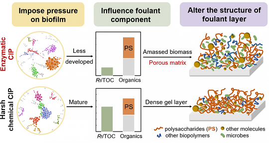 ���xľ�~(y��)ʯ�V�����a(ch��n)�S��øϴ�ɾ����ɶ������l(f��)�ķ��B͸Ĥ����(f��)��Ⱦ��(w��n)�}
