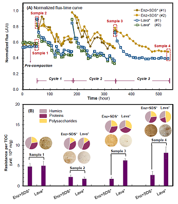 ���xľ�~(y��)ʯ�V�����a(ch��n)�S��øϴ�ɾ����ɶ������l(f��)�ķ��B͸Ĥ����(f��)��Ⱦ��(w��n)�}