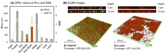 ���xľ�~(y��)ʯ�V�����a(ch��n)�S��øϴ�ɾ����ɶ������l(f��)�ķ��B͸Ĥ����(f��)��Ⱦ��(w��n)�}