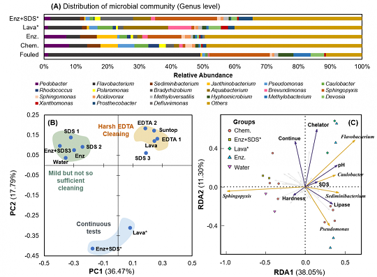 ���xľ�~(y��)ʯ�V�����a(ch��n)�S��øϴ�ɾ����ɶ������l(f��)�ķ��B͸Ĥ����(f��)��Ⱦ��(w��n)�}