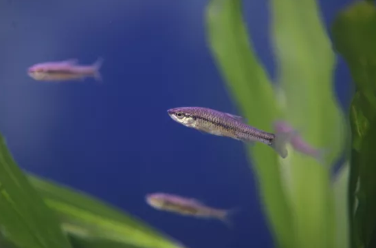 ��ʽ���������V�����a�S����ɽʯ����ˮ�����b��׌���ܺȵ���ˮ���Ă��f׃�ɬF(xi��n)��