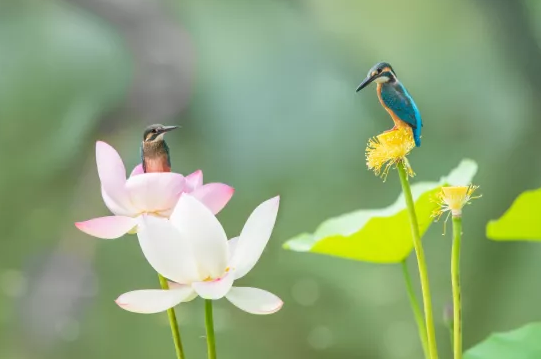 ��ʽ���������V�����a�S����ɽʯ����ˮ�����b��׌���ܺȵ���ˮ���Ă��f׃�ɬF(xi��n)��