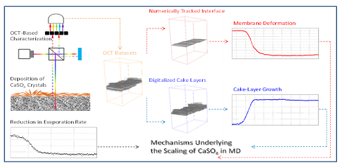 ��ʽϡ����ɰ�V�ϏS�Ұl(f��)��Ĥ���sϵ���о��ɹ�