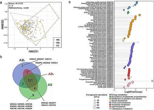 ��Ʒ�|��������������MBBR�S��������Ĥ�p��΢����Դ�ܽ����ЙC�����ŷ�
