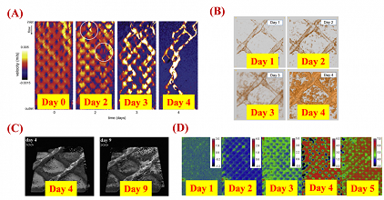 �h���o��ú�V�ϏS��ˮ̎���þ�ʽĤ�M���Mˮ���W�������c���܃���
