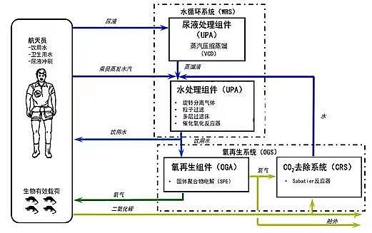 ��Ʒ�|(zh��)��Cб�����ϏS������12̖(h��o)�����̫��90�죬�@Щ�Uˮ̎�����g(sh��)������̎!