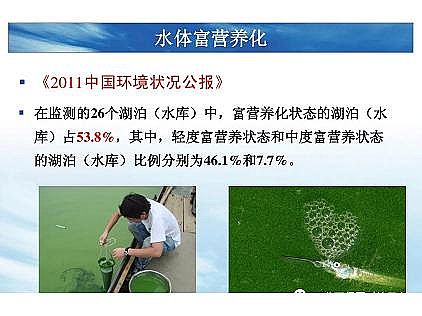 ��(y��u)�|(zh��)�������͚��������a(ch��n)�S��һ���f(shu��)͸������������ˇ