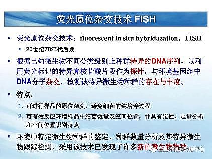 ��(y��u)�|(zh��)�������͚��������a(ch��n)�S��һ���f(shu��)͸������������ˇ