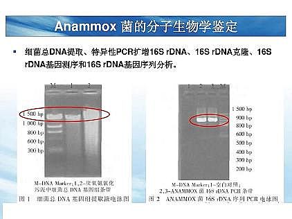 ��(y��u)�|(zh��)�������͚��������a(ch��n)�S��һ���f(shu��)͸������������ˇ