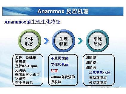 ��(y��u)�|(zh��)�������͚��������a(ch��n)�S��һ���f(shu��)͸������������ˇ