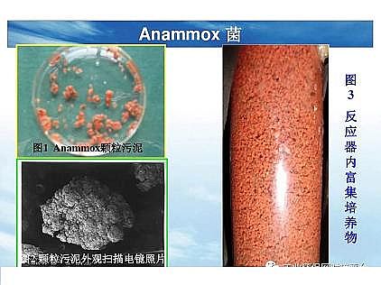 ��(y��u)�|(zh��)�������͚��������a(ch��n)�S��һ���f(shu��)͸������������ˇ