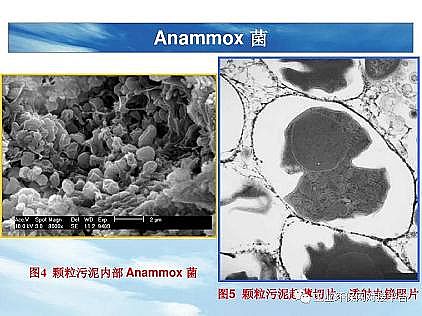 ��(y��u)�|(zh��)�������͚��������a(ch��n)�S��һ���f(shu��)͸������������ˇ