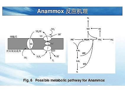 ��(y��u)�|(zh��)�������͚��������a(ch��n)�S��һ���f(shu��)͸������������ˇ
