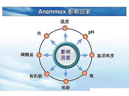 ��(y��u)�|(zh��)�������͚��������a(ch��n)�S��һ���f(shu��)͸������������ˇ